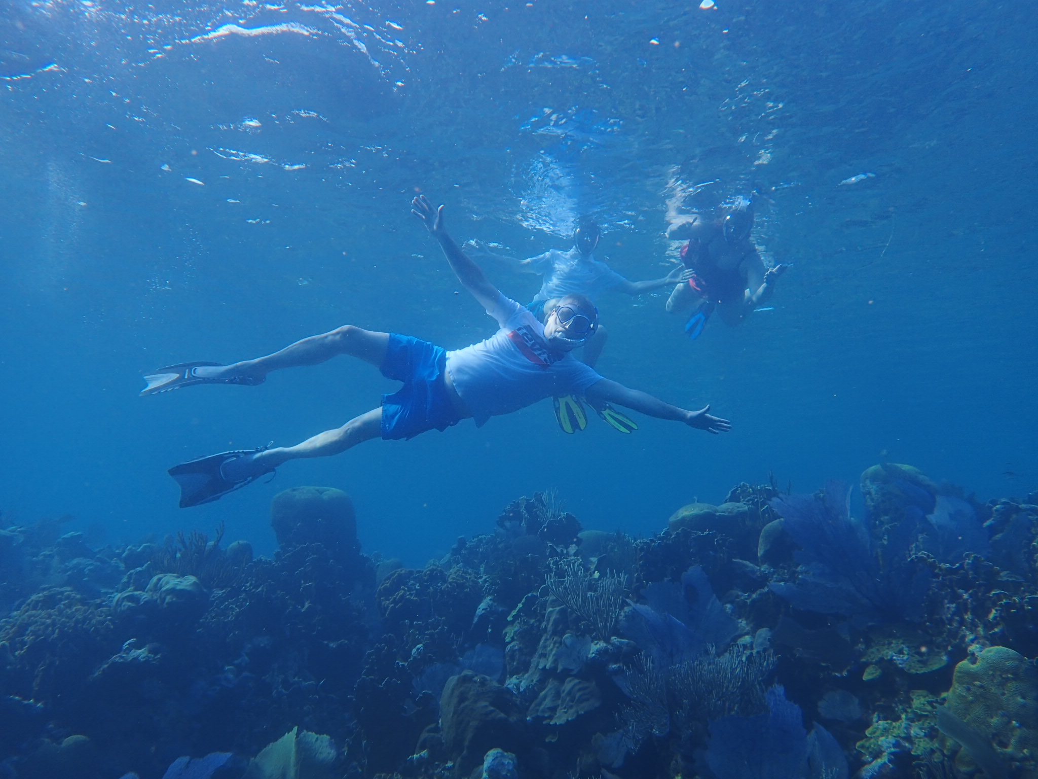 Monkey, Sloth & Snorkel Adventure